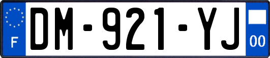 DM-921-YJ