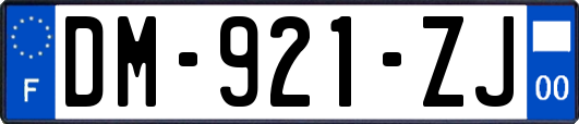 DM-921-ZJ