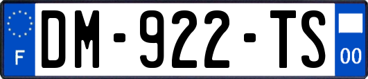 DM-922-TS