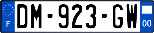 DM-923-GW