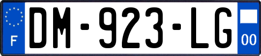 DM-923-LG