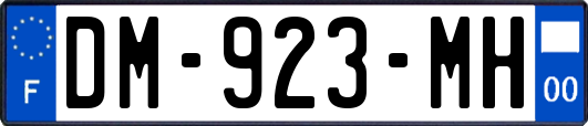 DM-923-MH