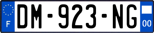DM-923-NG
