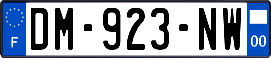 DM-923-NW