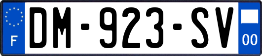 DM-923-SV