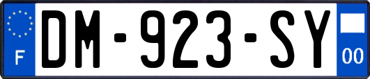 DM-923-SY