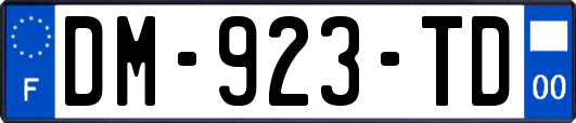 DM-923-TD