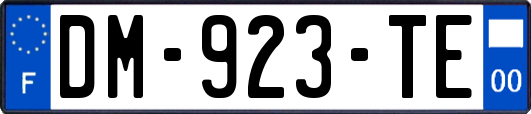DM-923-TE