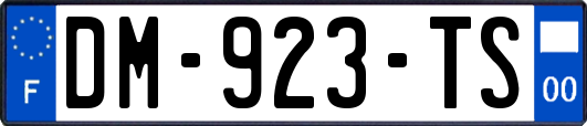 DM-923-TS