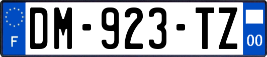 DM-923-TZ