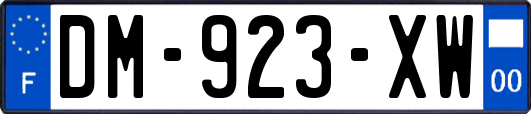 DM-923-XW