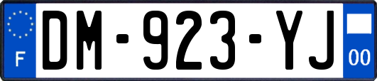 DM-923-YJ