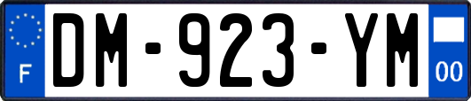 DM-923-YM