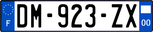 DM-923-ZX