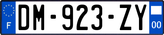 DM-923-ZY