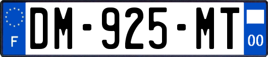 DM-925-MT