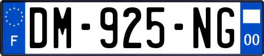 DM-925-NG