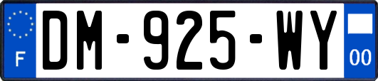 DM-925-WY