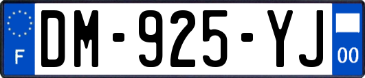 DM-925-YJ