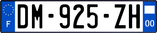 DM-925-ZH