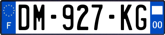 DM-927-KG