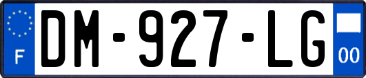 DM-927-LG