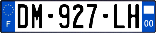 DM-927-LH