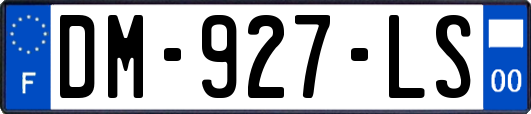 DM-927-LS