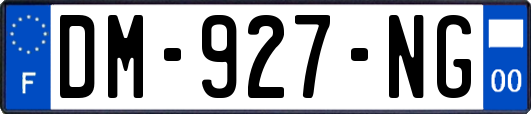 DM-927-NG