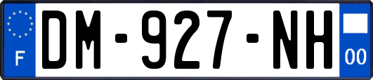 DM-927-NH