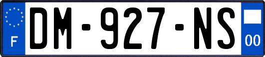 DM-927-NS