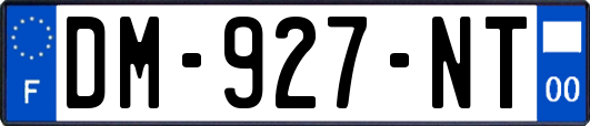 DM-927-NT