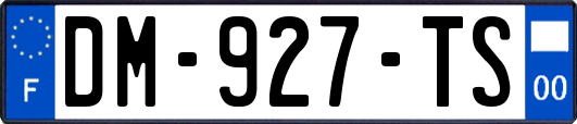 DM-927-TS