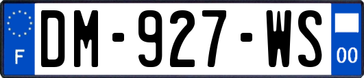 DM-927-WS