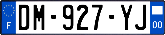 DM-927-YJ