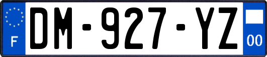 DM-927-YZ