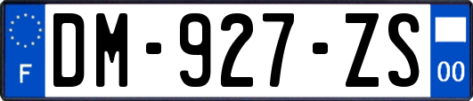 DM-927-ZS