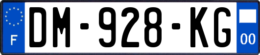 DM-928-KG
