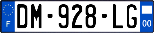 DM-928-LG