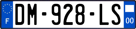 DM-928-LS