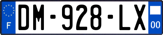DM-928-LX