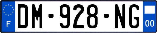 DM-928-NG