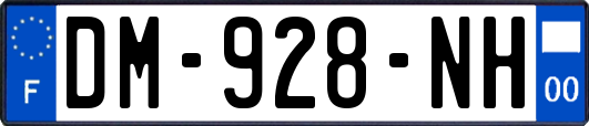 DM-928-NH