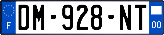 DM-928-NT