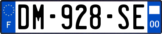 DM-928-SE