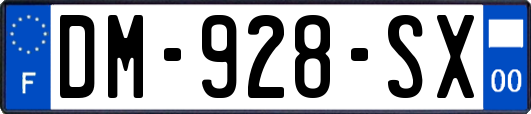 DM-928-SX