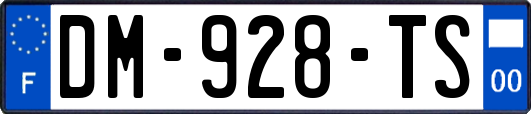 DM-928-TS