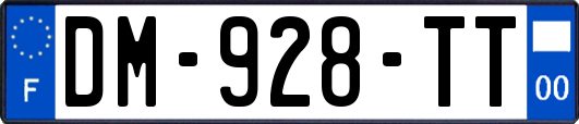 DM-928-TT