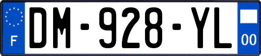 DM-928-YL