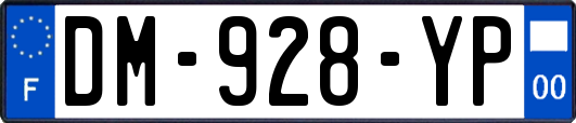 DM-928-YP